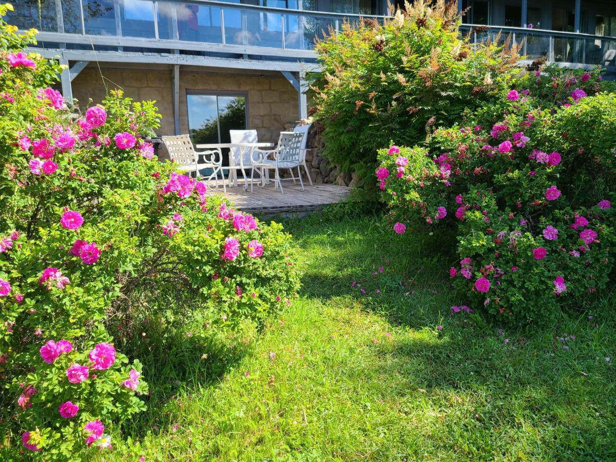 Saint-Faustin Le Lodge Du Lac מראה חיצוני תמונה